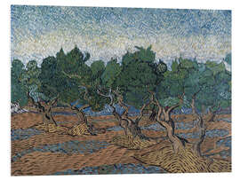 Foam board print Olive Grove III