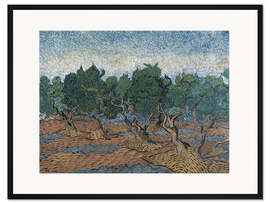 Gerahmter Kunstdruck Olivenhain III
