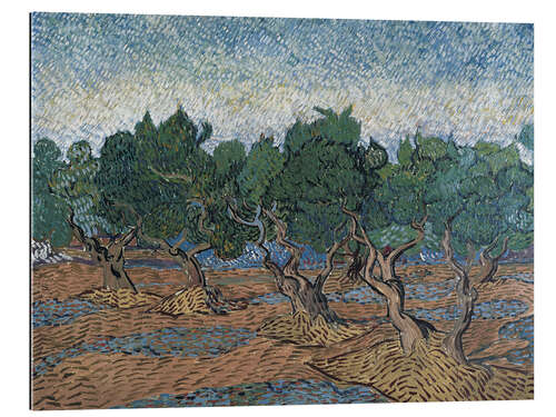 Gallery print Olive Grove III