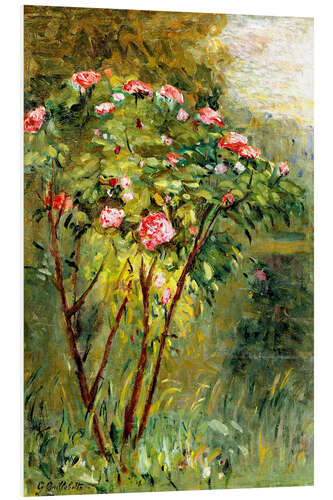 Quadro em PVC The rose bush