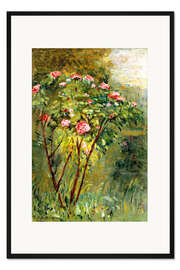 Gerahmter Kunstdruck Der Rosenstrauch