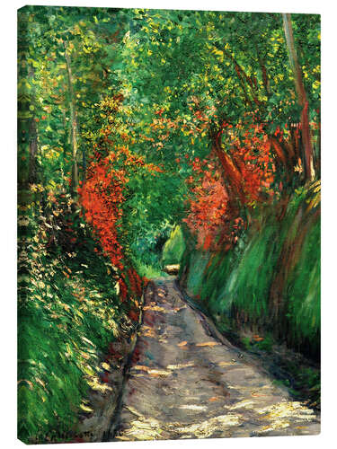 Canvas print Forest path