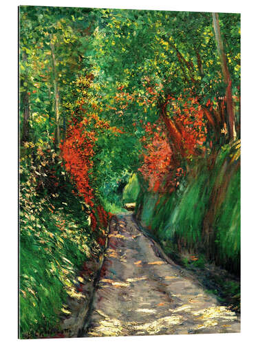 Gallery print Forest path