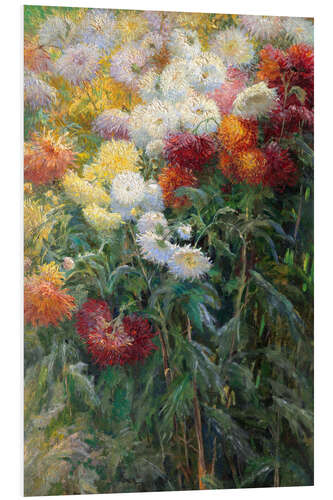 Foam board print Chrysanthemums