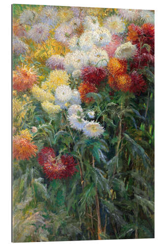 Gallery print Chrysanthemums