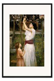 Gerahmter Kunstdruck Pflücken von Mandelblüten