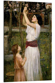 Magnettafel Pflücken von Mandelblüten