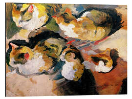 Magnettafel Katzenstudien