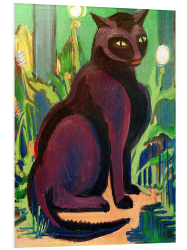 Foam board print Black Cat (tomcat Bobby)