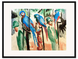 Gerahmter Kunstdruck Bei den Papageien