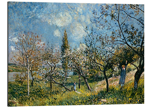 Quadro em alumínio Fruit Garden in Spring