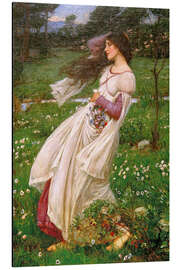 Magnettafel Windblumen