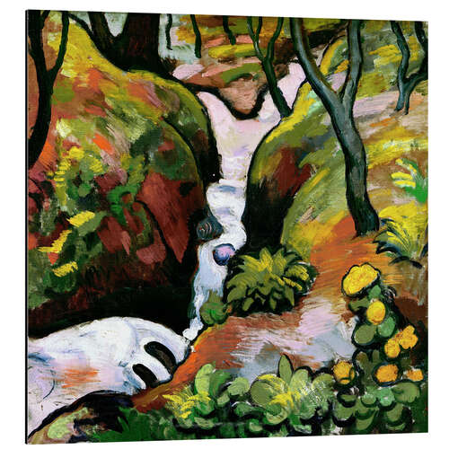 Aluminiumtavla Forest Brook