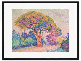 Gerahmter Kunstdruck Kiefer in Saint-Tropez