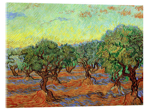 Akrylbilde Olive Grove II