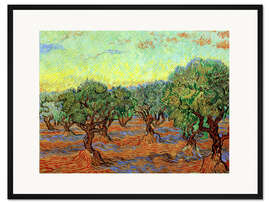 Gerahmter Kunstdruck Olivenhain II