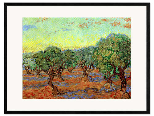 Framed art print Olive Grove II