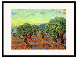 Kunsttryk i ramme Olive Grove II