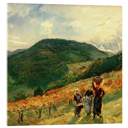 Acrylglasbild Weinlese am Hämmelsberg