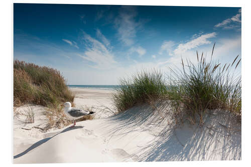 Tableau en PVC Une mouette sur la dune, Sylt