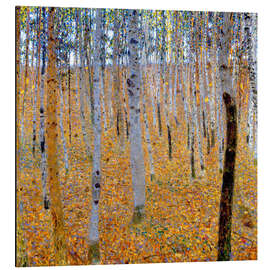 Magnettafel Buchenwald I