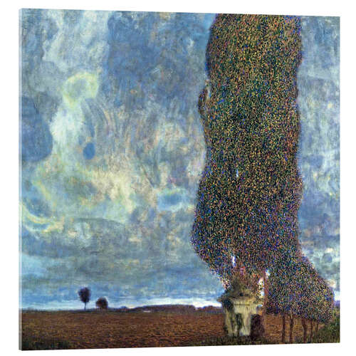 Acrylic print The Large Poplar II