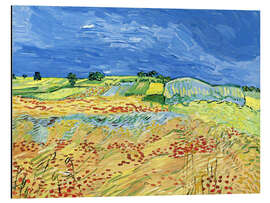 Magnettafel Felder mit blühendem Mohn