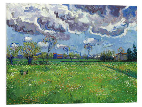 Foam board print Meadow with flowers and leaden sky