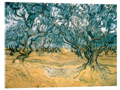 Quadro em acrílico Olive Trees