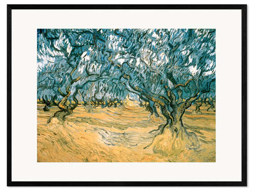 Impresión de arte enmarcada Olivos