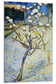 Gallery print Blossoming pear tree