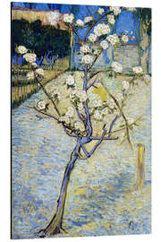 Magnettafel Birnenbaum in Blüte