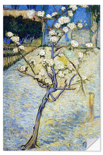 Selvklebende plakat Blossoming Pear Tree