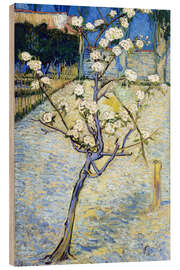 Wood print Blossoming pear tree