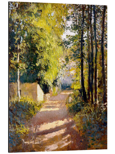 Aluminium print Path under trees