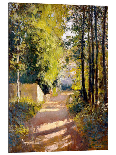 Tableau en plexi-alu Chemin sous-bois, en été