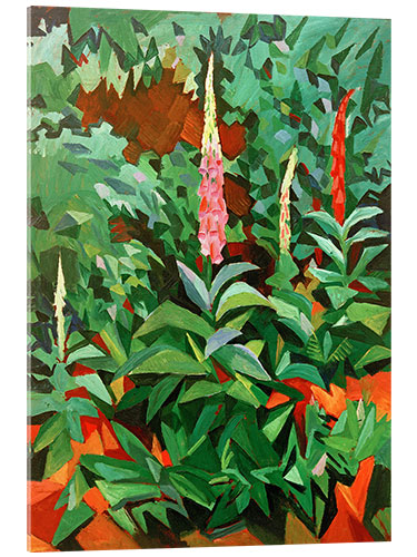 Obraz na szkle akrylowym Foxgloves in the Garden