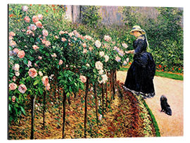 Aluminiumtavla Roses, Garden in Petit Gennevilliers