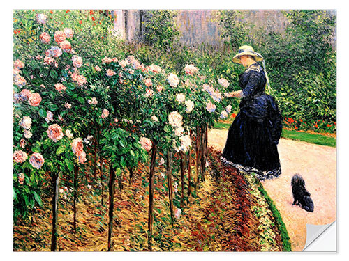 Naklejka na ścianę Roses, Garden in Petit Gennevilliers