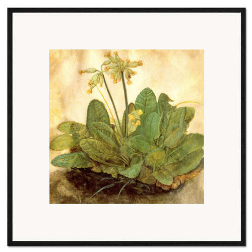 Gerahmter Kunstdruck Schlüsselblume