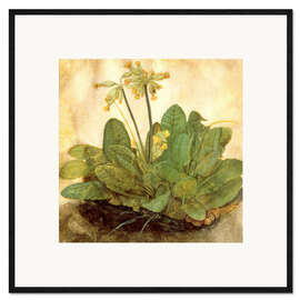 Impression artistique encadrée Primevère officinale