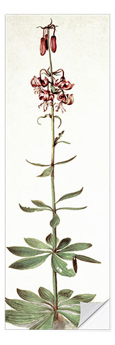 Wall sticker Turks bund