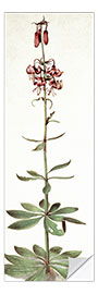 Wall sticker Turks bund