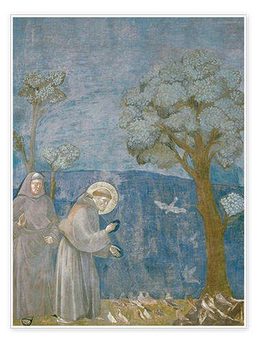 Poster Franziskus predigt den Vögeln
