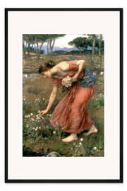 Gerahmter Kunstdruck Narzisse