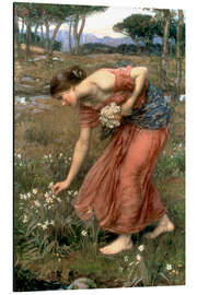 Magnettafel Narzisse