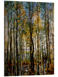 Magnettafel Überschwemmung am Starnberger See