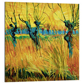 Magnettafel Weiden bei Sonnenuntergang