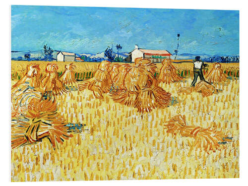 Foam board print Harvest in Provence