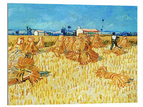 Gallery print Harvest in Provence